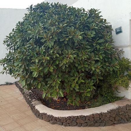 Aguas Verdes Betancuría Exteriör bild